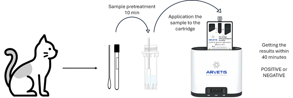 Sample pretreatment and cartridge workflow diagram